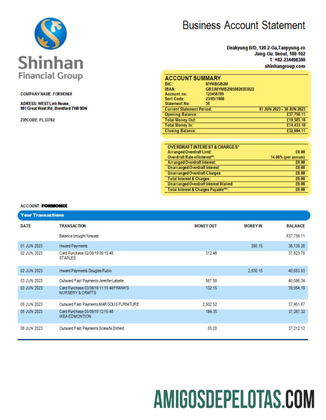 Imprimível Shinhan Financial Group Enterprise Statement modelo Word e PDF